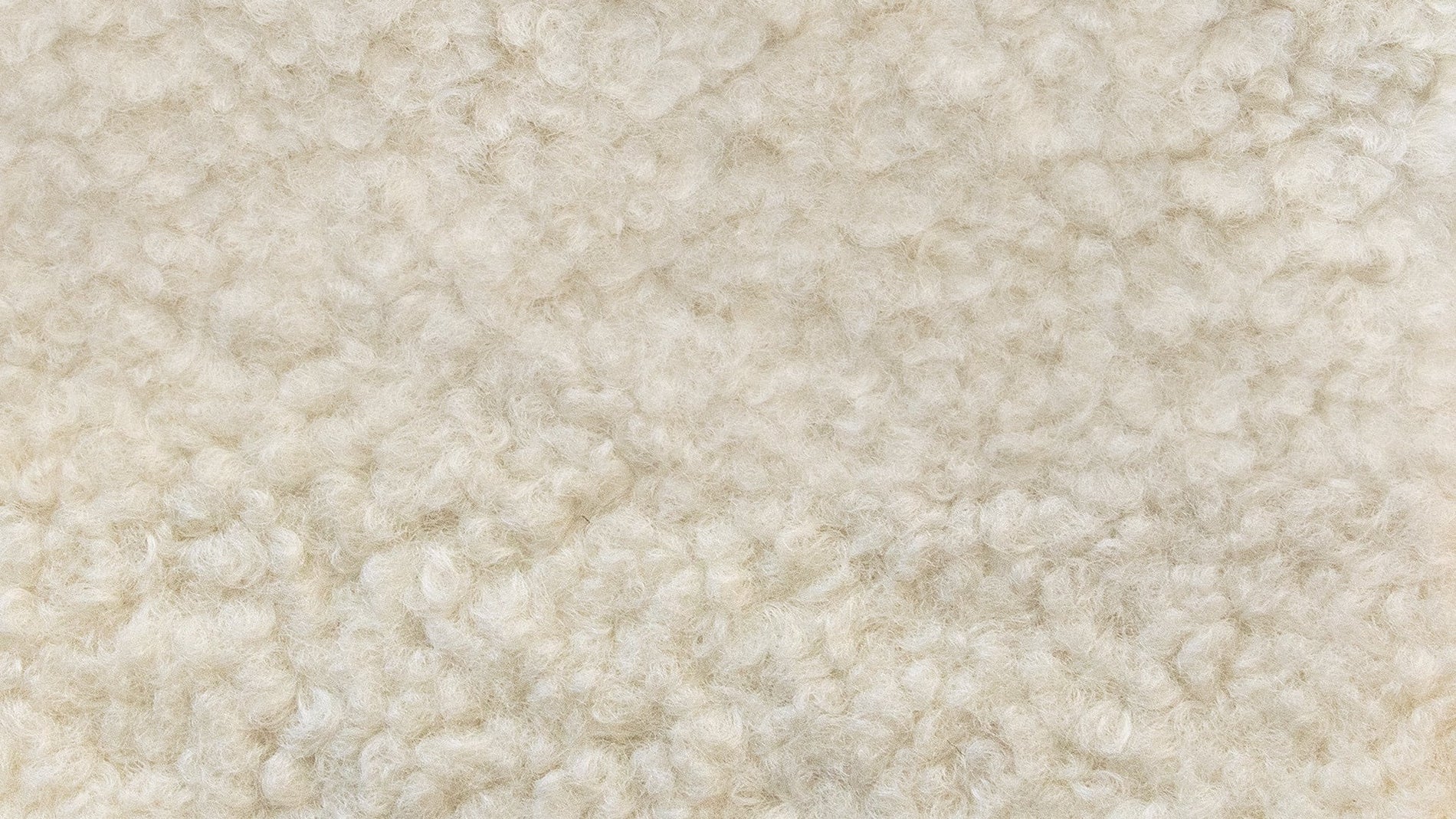 Swatch Shearling_image