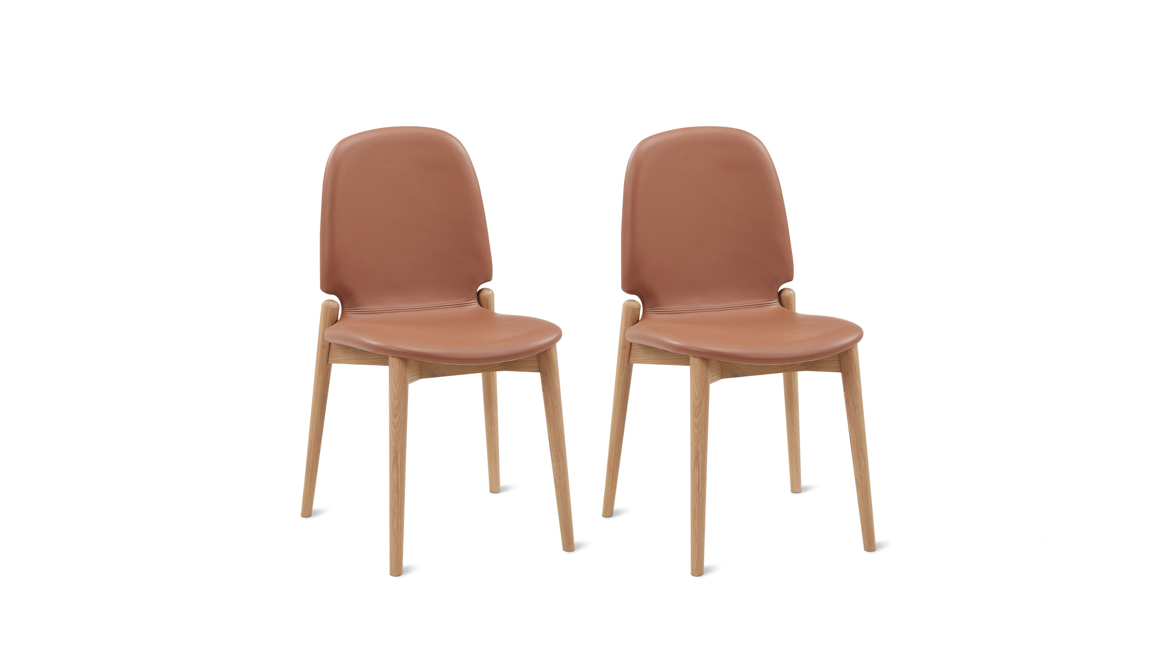 Dine In Dining Chair (Set Of Two), Oak/Pecan