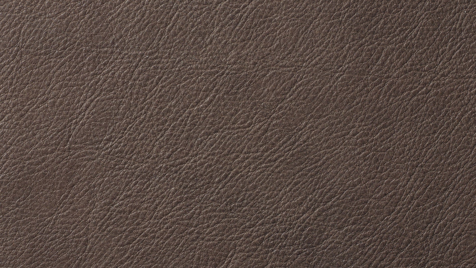 Swatch Cognac, Leather_image