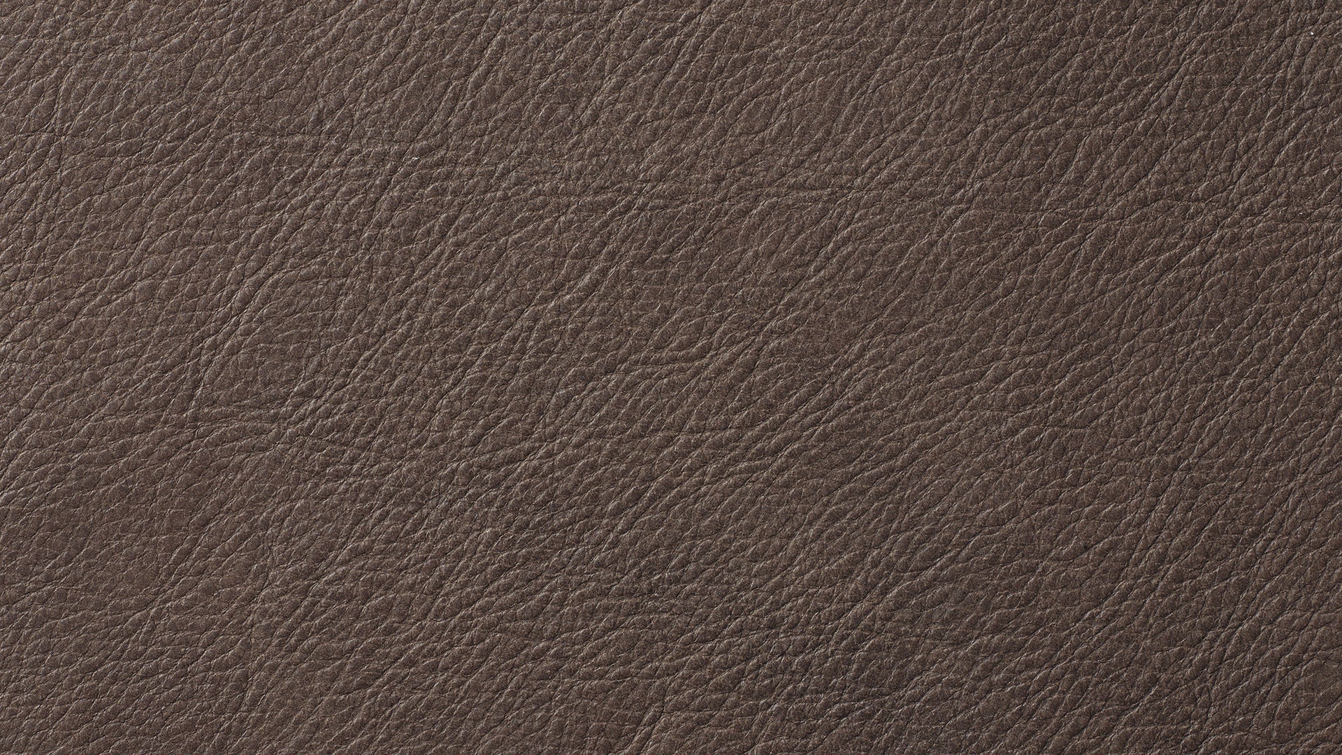 Swatch Cognac, Leather - Image 1