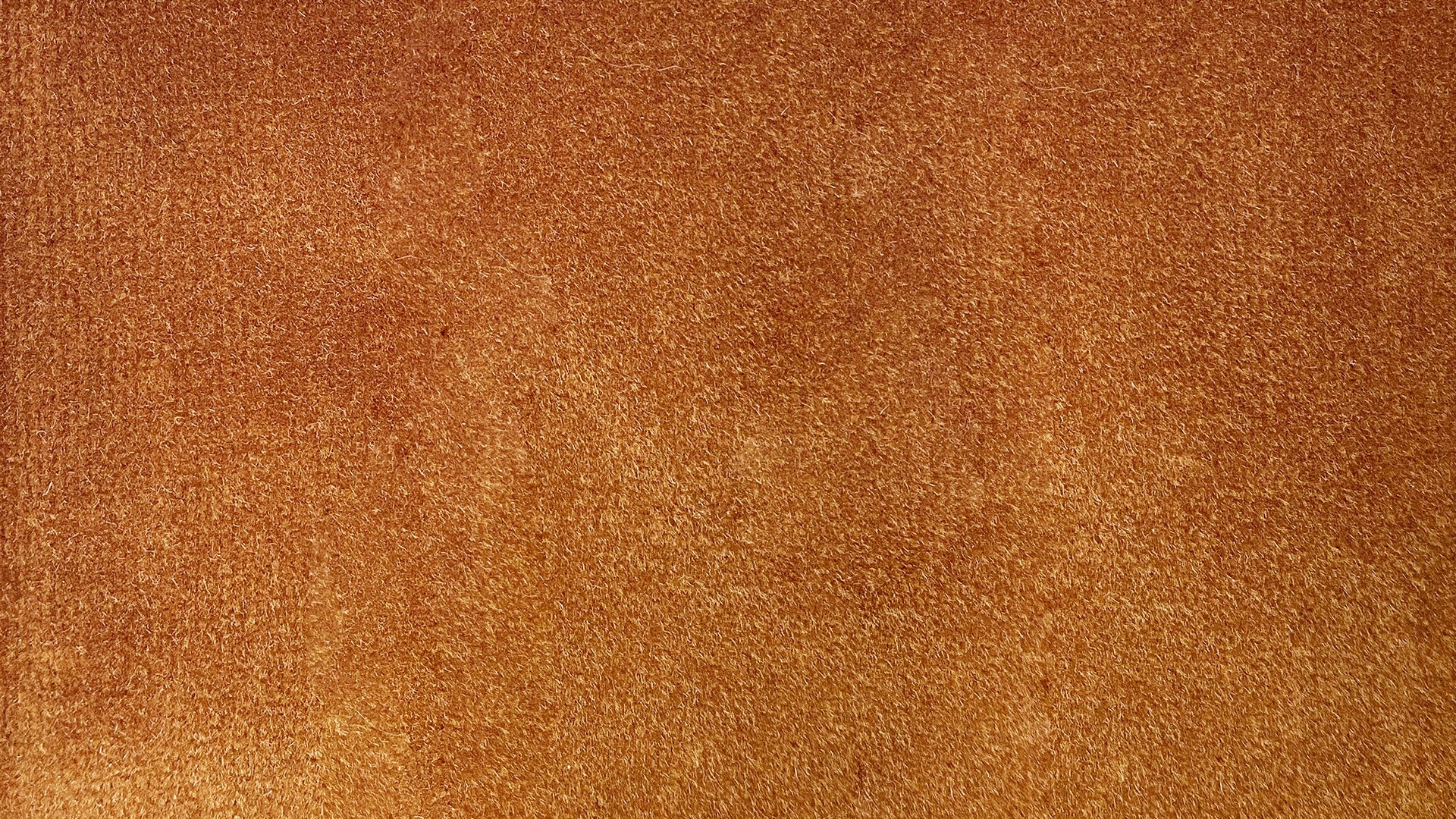 Swatch Butterscotch - Image 1