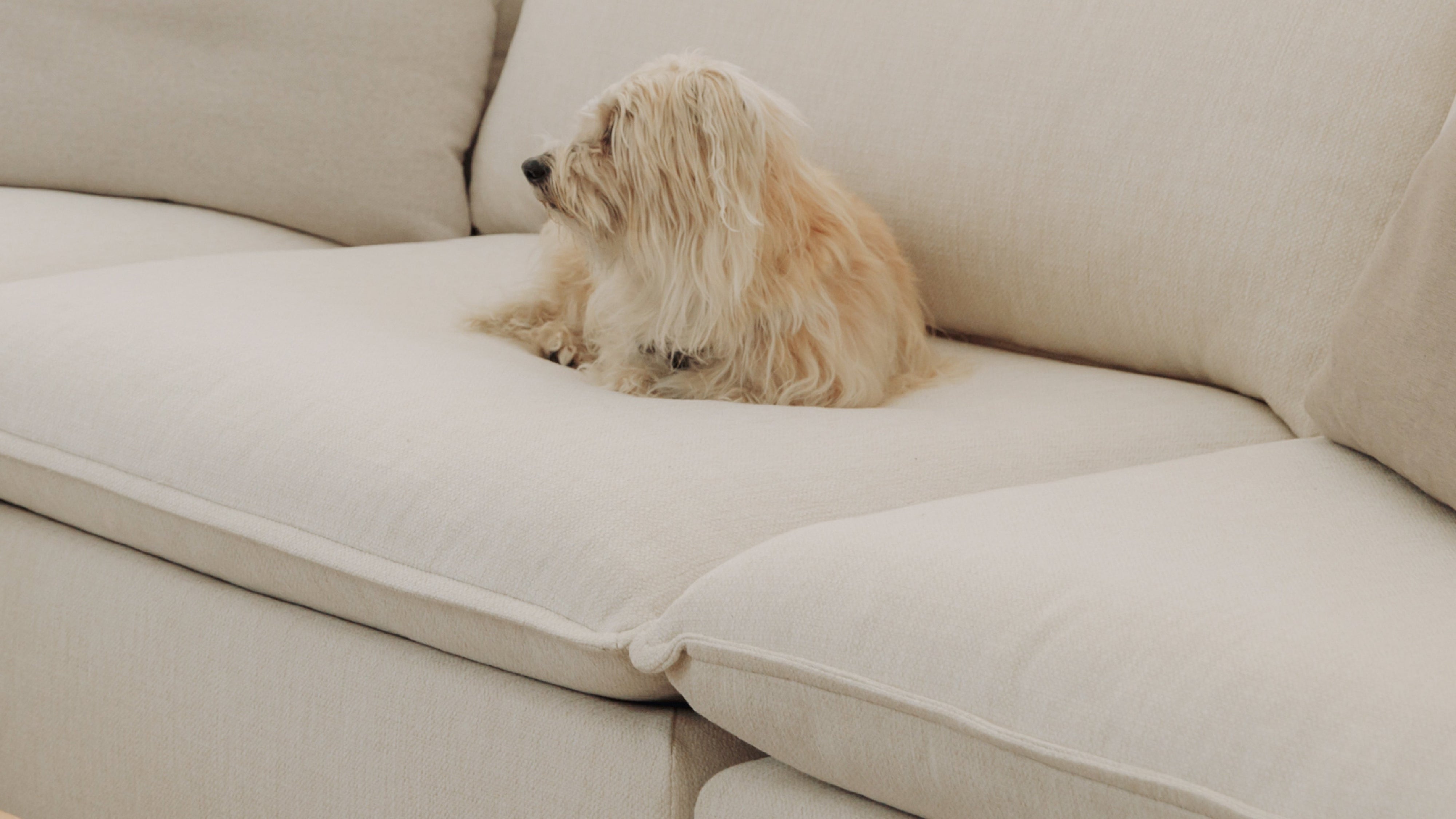 Chill Time 2-Piece Modular Sofa, Birch - Image 10