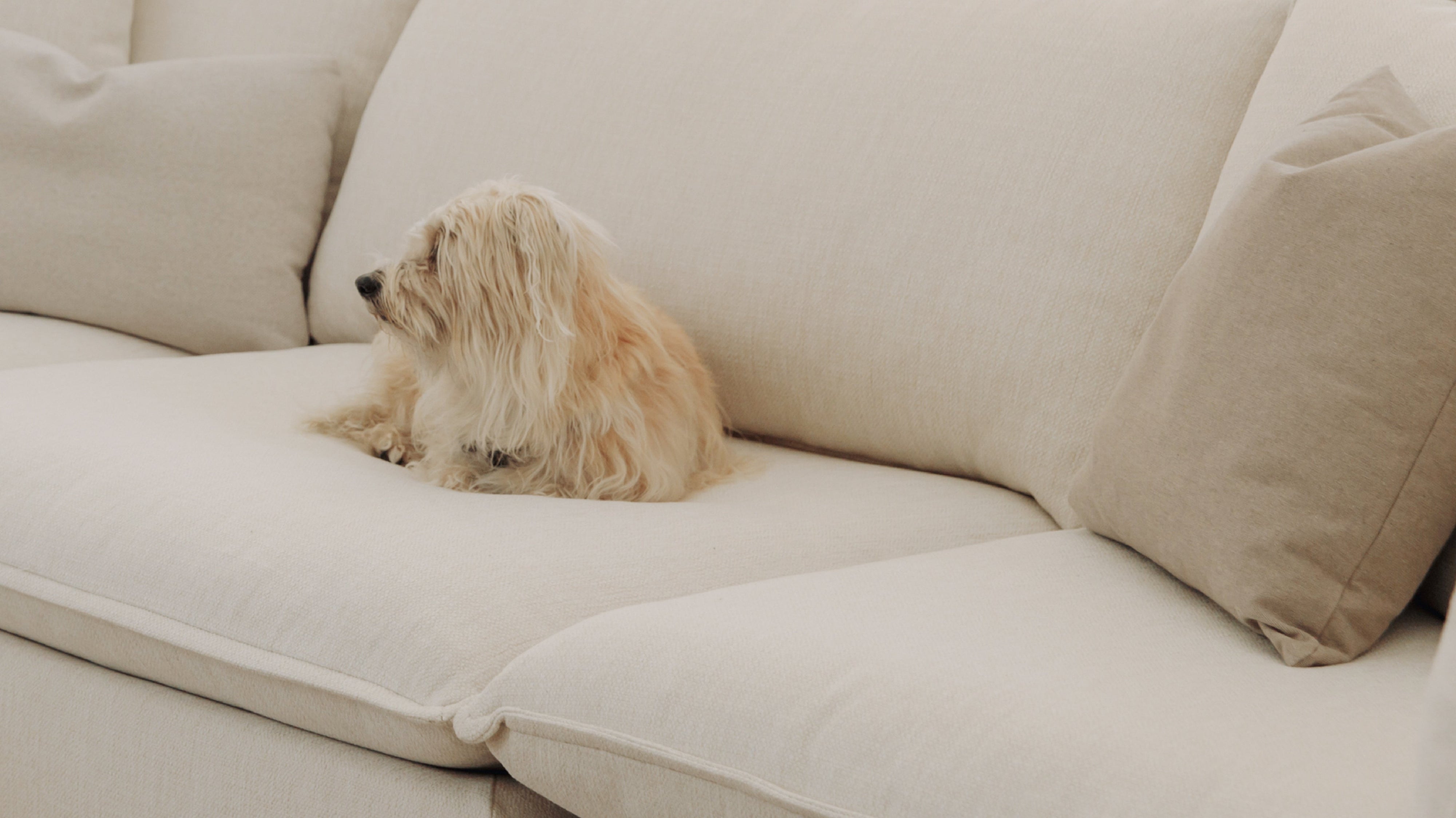 Chill Time 3-Piece Modular Sofa, Birch - Image 10
