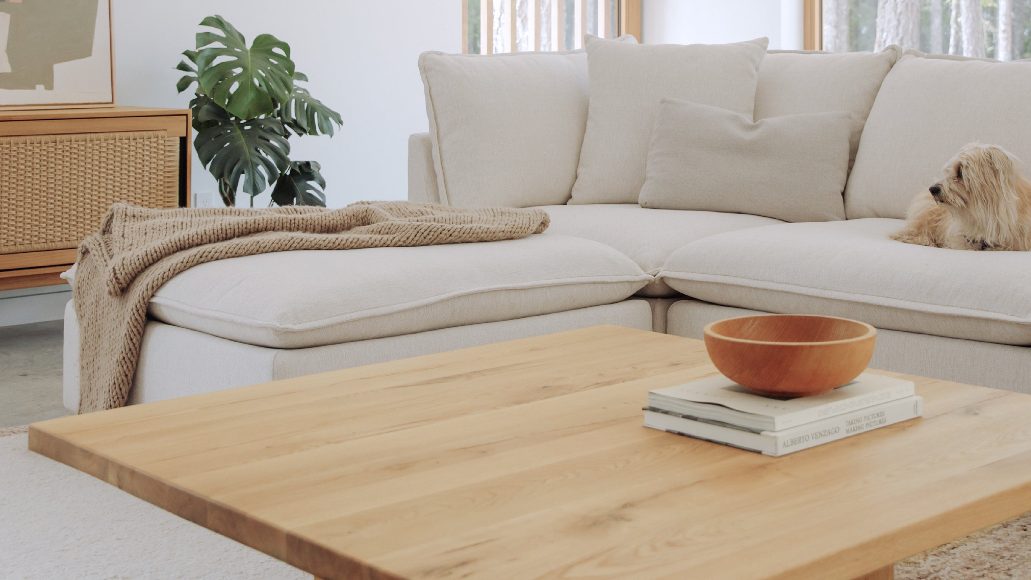 Chill Time 3-Piece Modular Sectional, Birch - Image 4