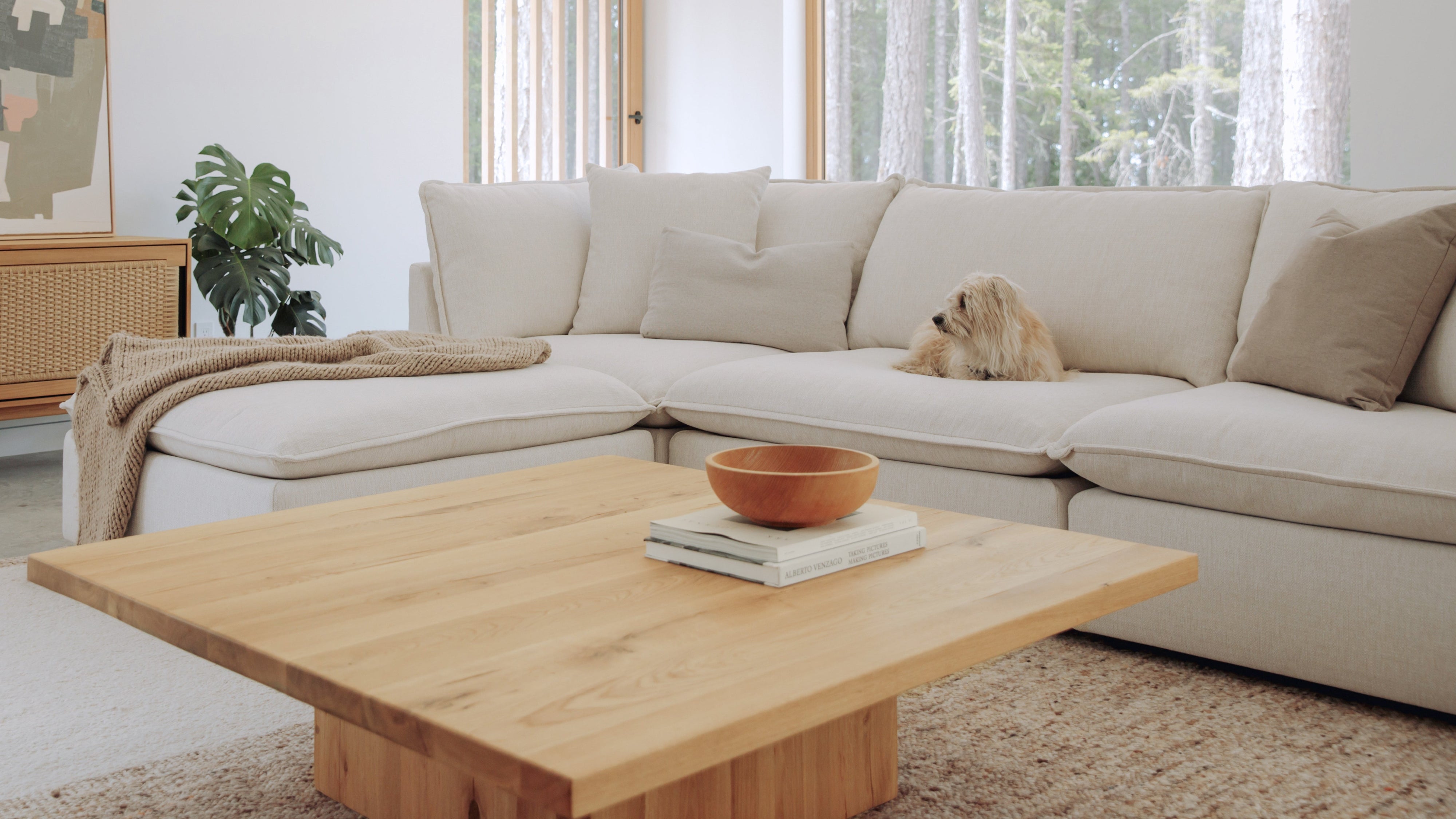 Chill Time 4-Piece Modular Sectional, Birch - Image 4