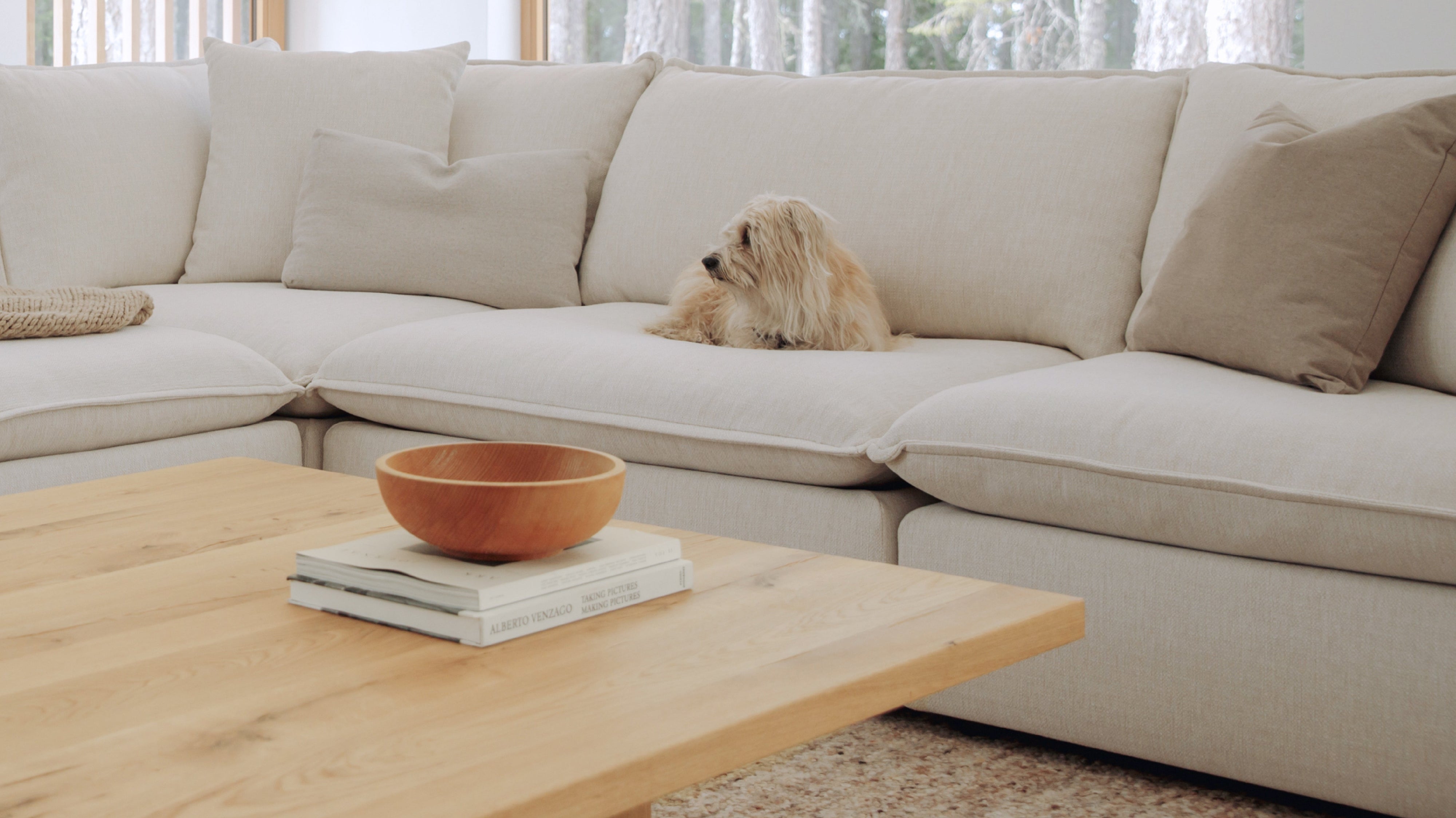 Chill Time 5-Piece Modular Sectional Closed, Birch - Image 3