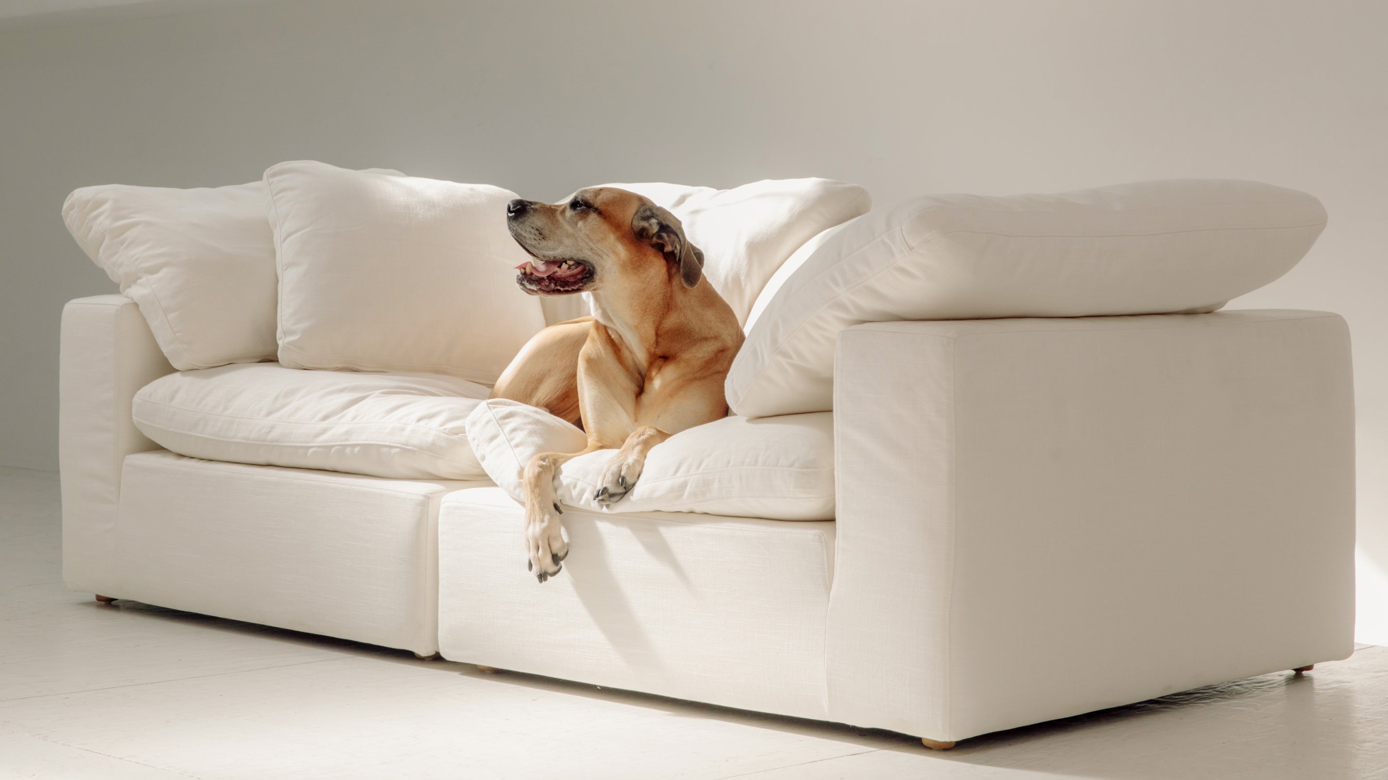 Movie Night™ 2-Piece Modular Sofa, Standard, Champagne - Image 11
