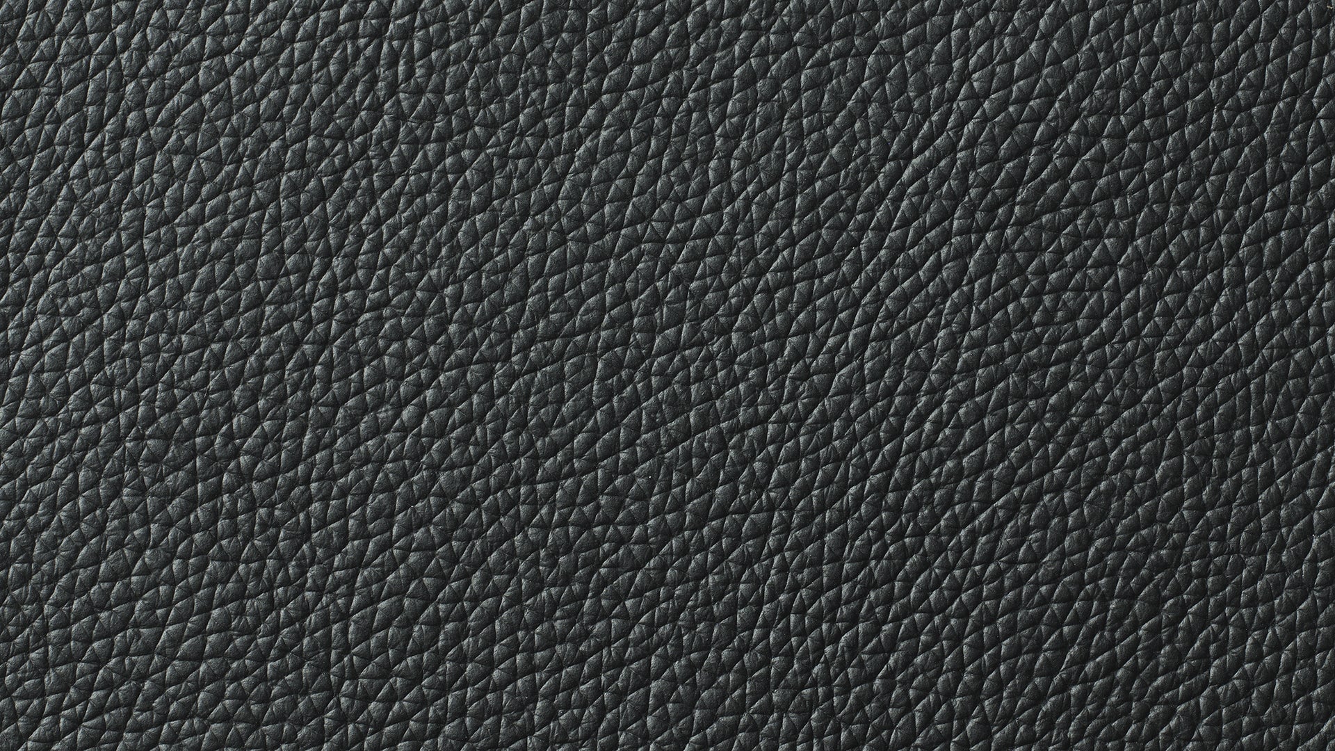 Swatch Black, Leather - Image 1