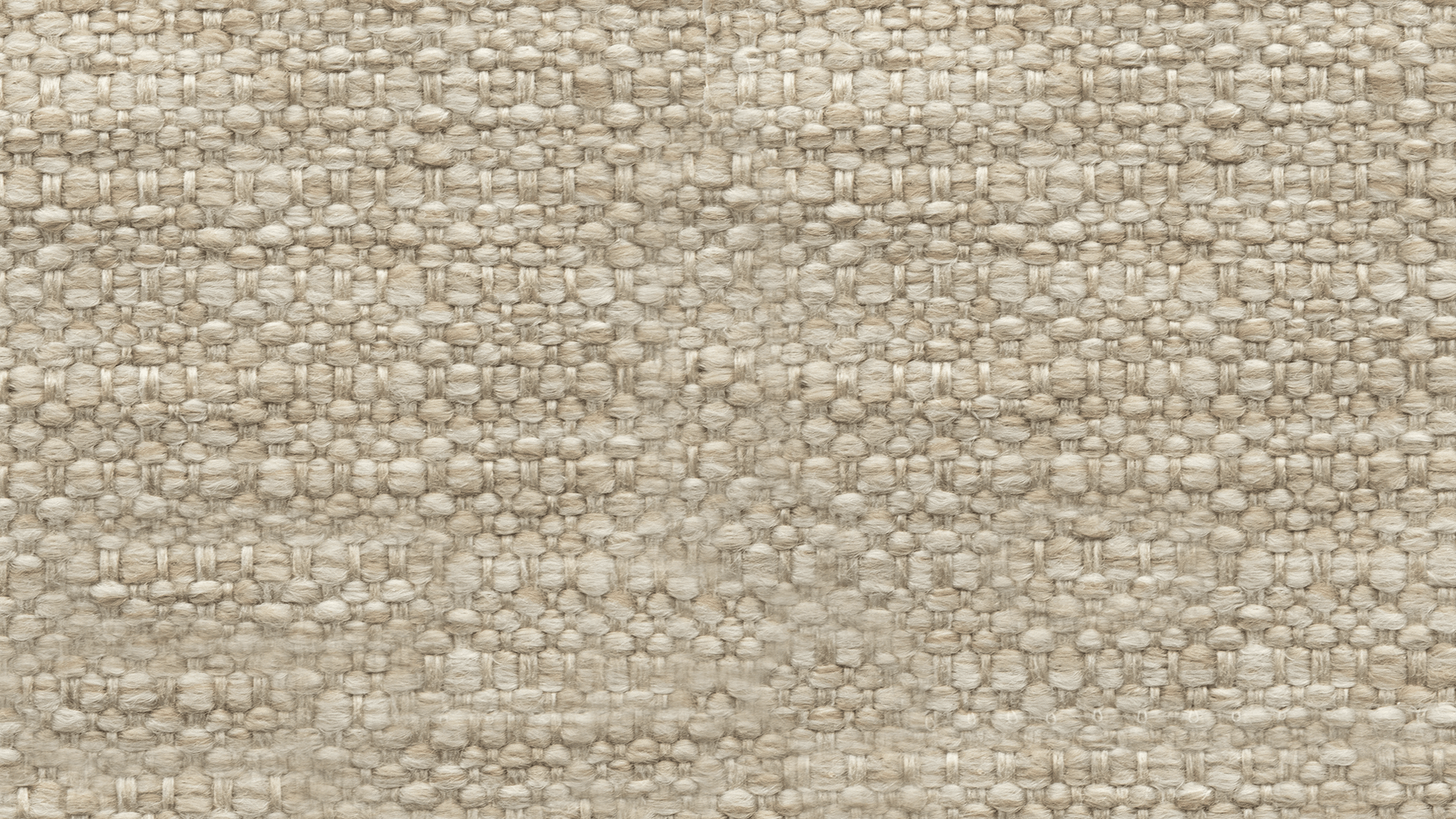 Swatch Biscuit_image