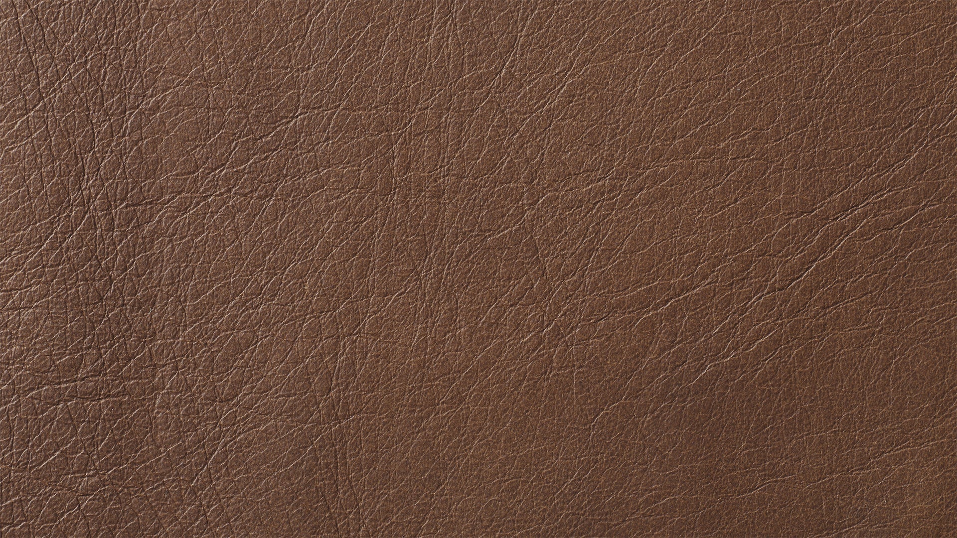 Swatch Rum, Leather - Image 1