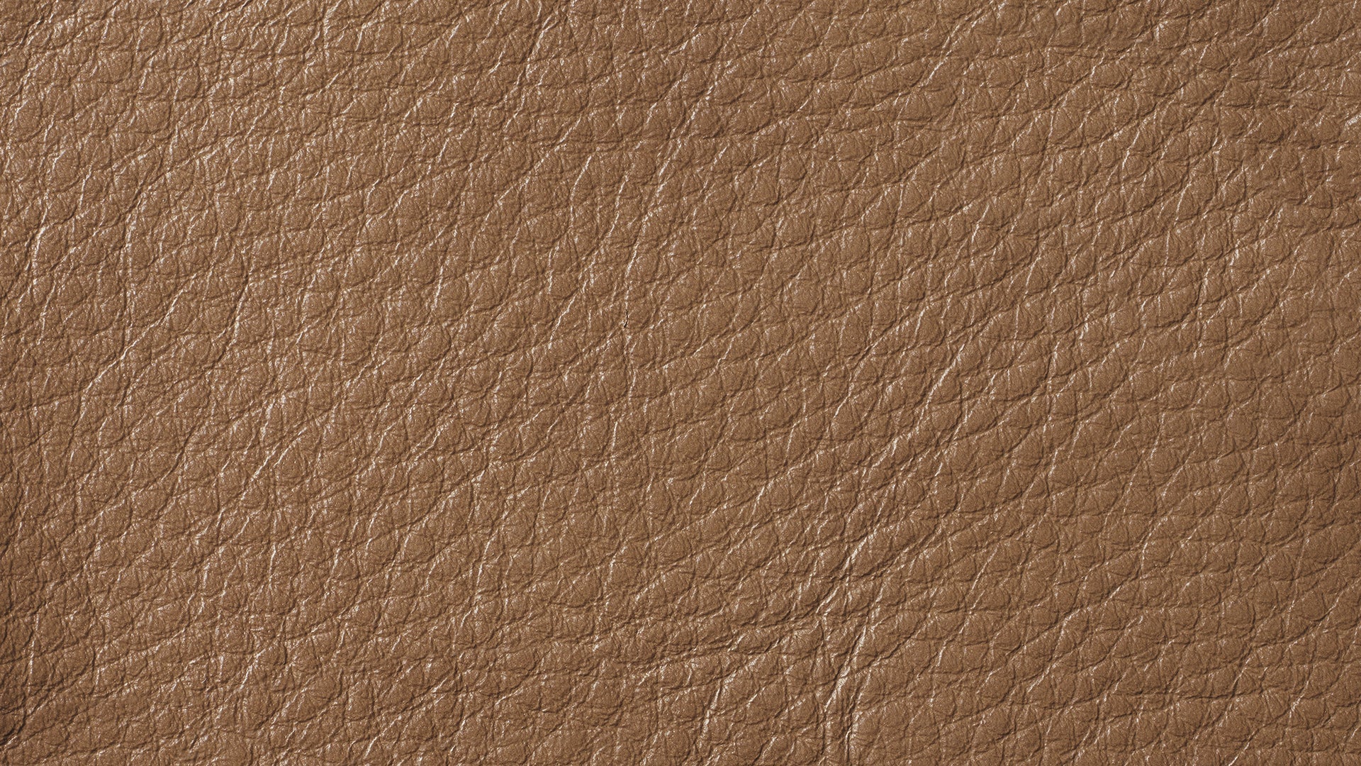 Swatch Caramel, Leather - Image 1