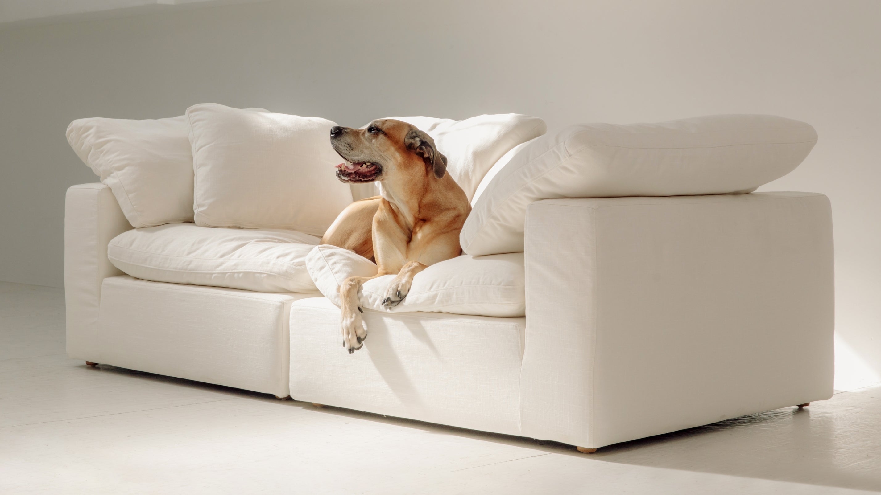 Movie Night™ 2-Piece Modular Sofa, Large, Cream Linen - Image 3