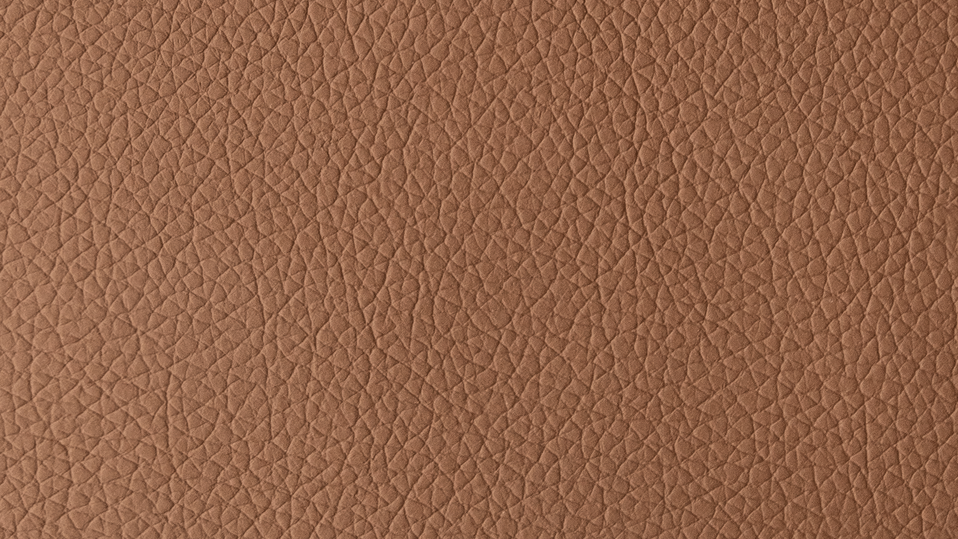 Swatch Brown - Image 1