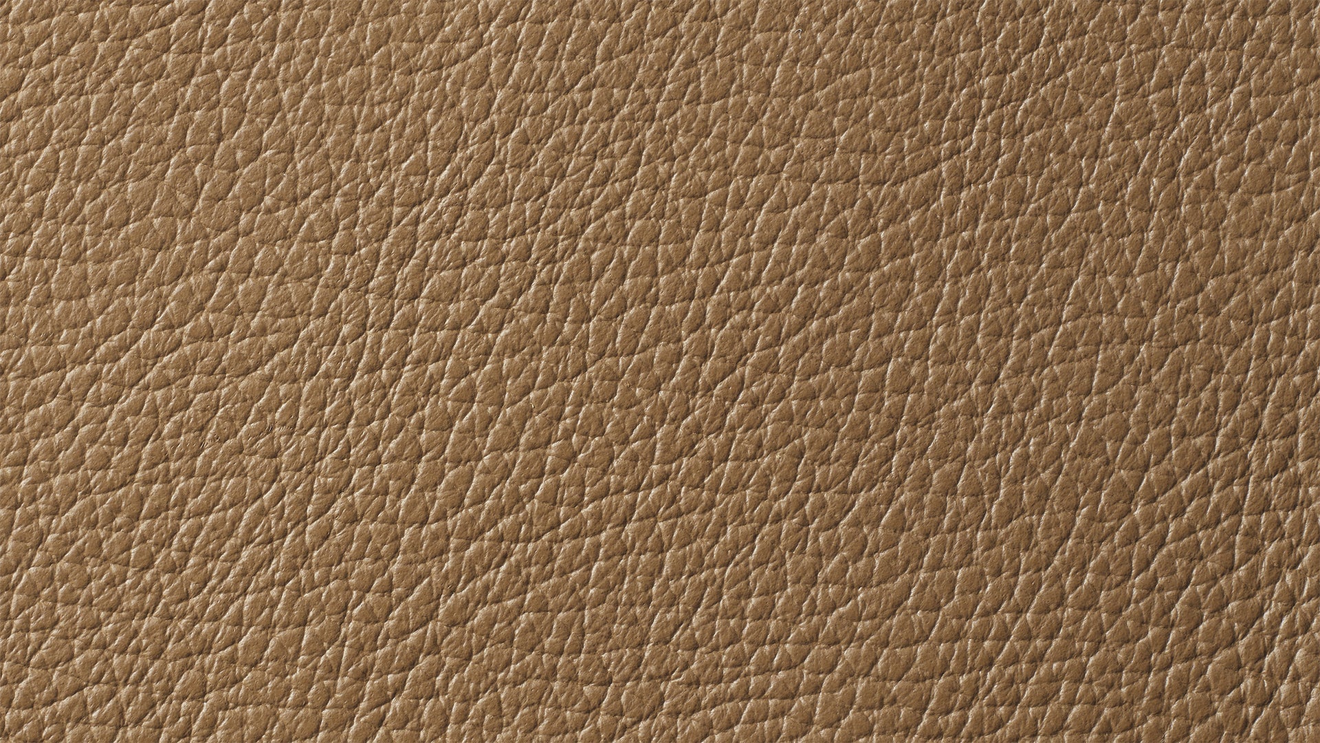 Swatch Cigar, Leather - Image 1